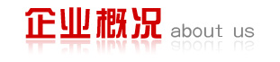 企業(yè)概況